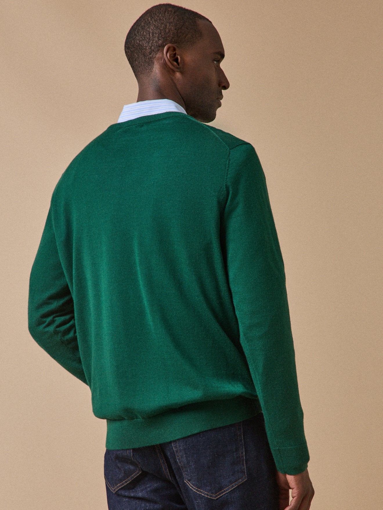 Herrenpullover aus Merinowolle mit rundem Halsausschnitt
