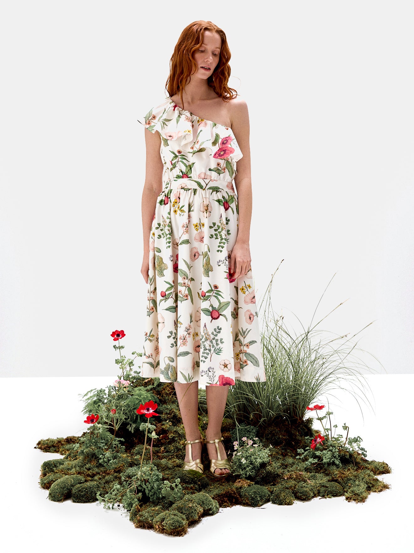 Damenkleid - Kollektion von Deyrolle x Cyrillus