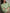 Damen Boxy-Pullover aus Merinowolle