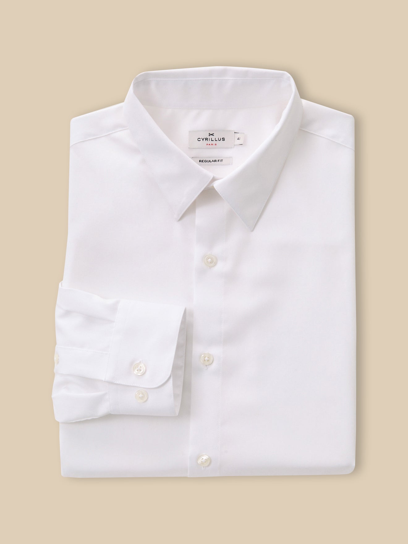 Bügelfreies und einfarbiges Regular Fit Herrenhemd aus Baumwoll-Twill