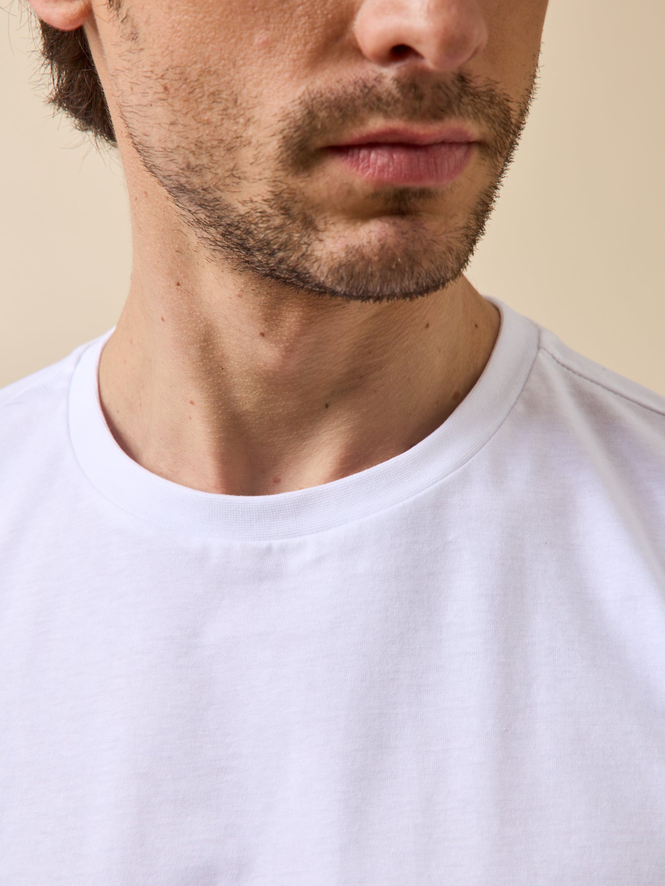 Einfarbiges Herren T-Shirt aus Bio-Baumwolle