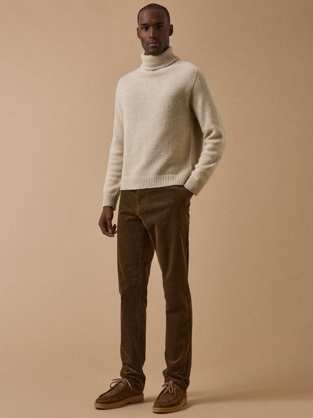 Herrenpullover aus Wolle mit Rollkragen