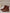 Damen-Chelsea-Boots aus Leder