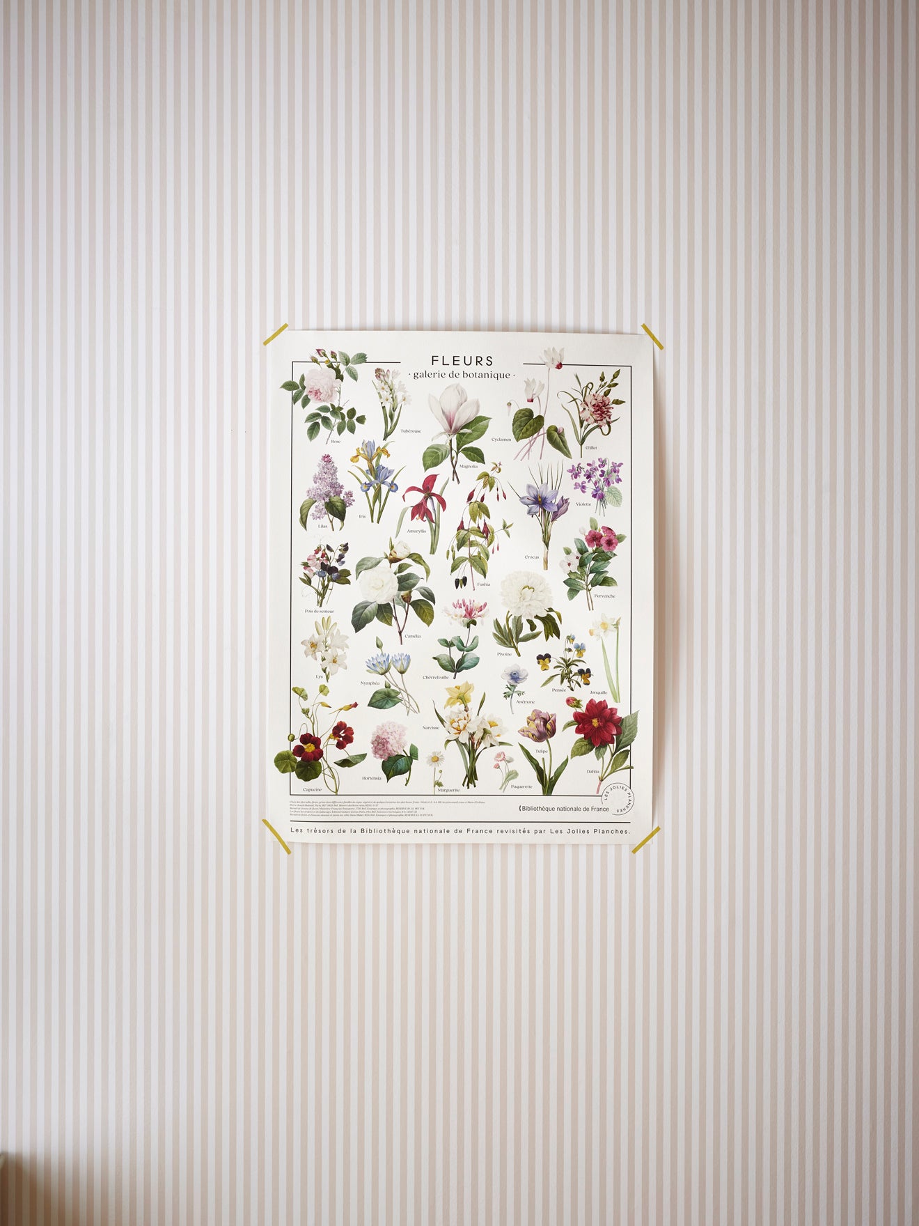 Blumen-Poster - Les Jolies Planches-Kollektion