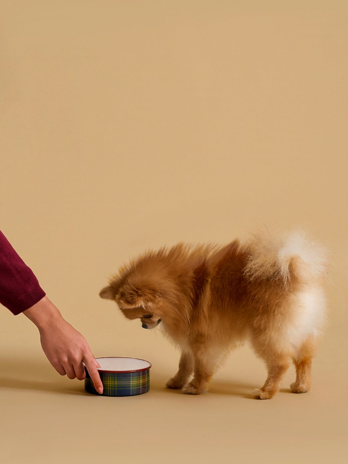 Hunde-Futternapf, klein – Kollektion Edles für Vierbeiner