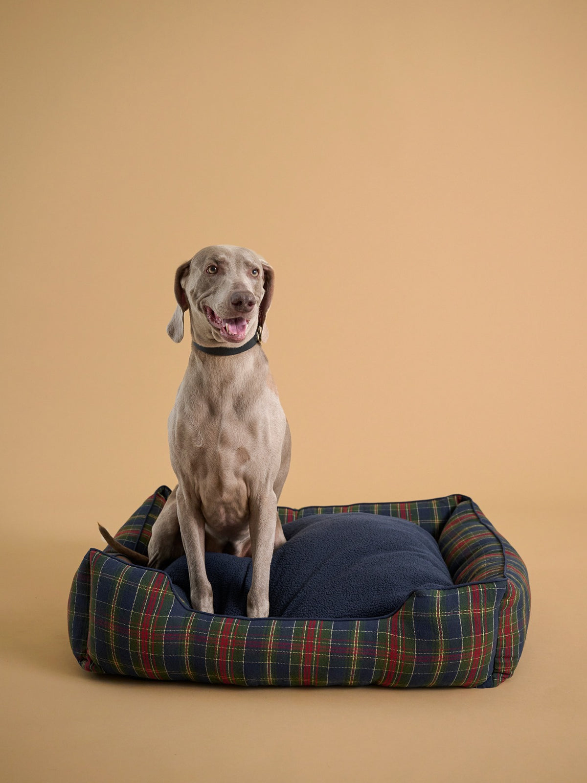 Großer Hundekorb – Kollektion „Fine Truffe“