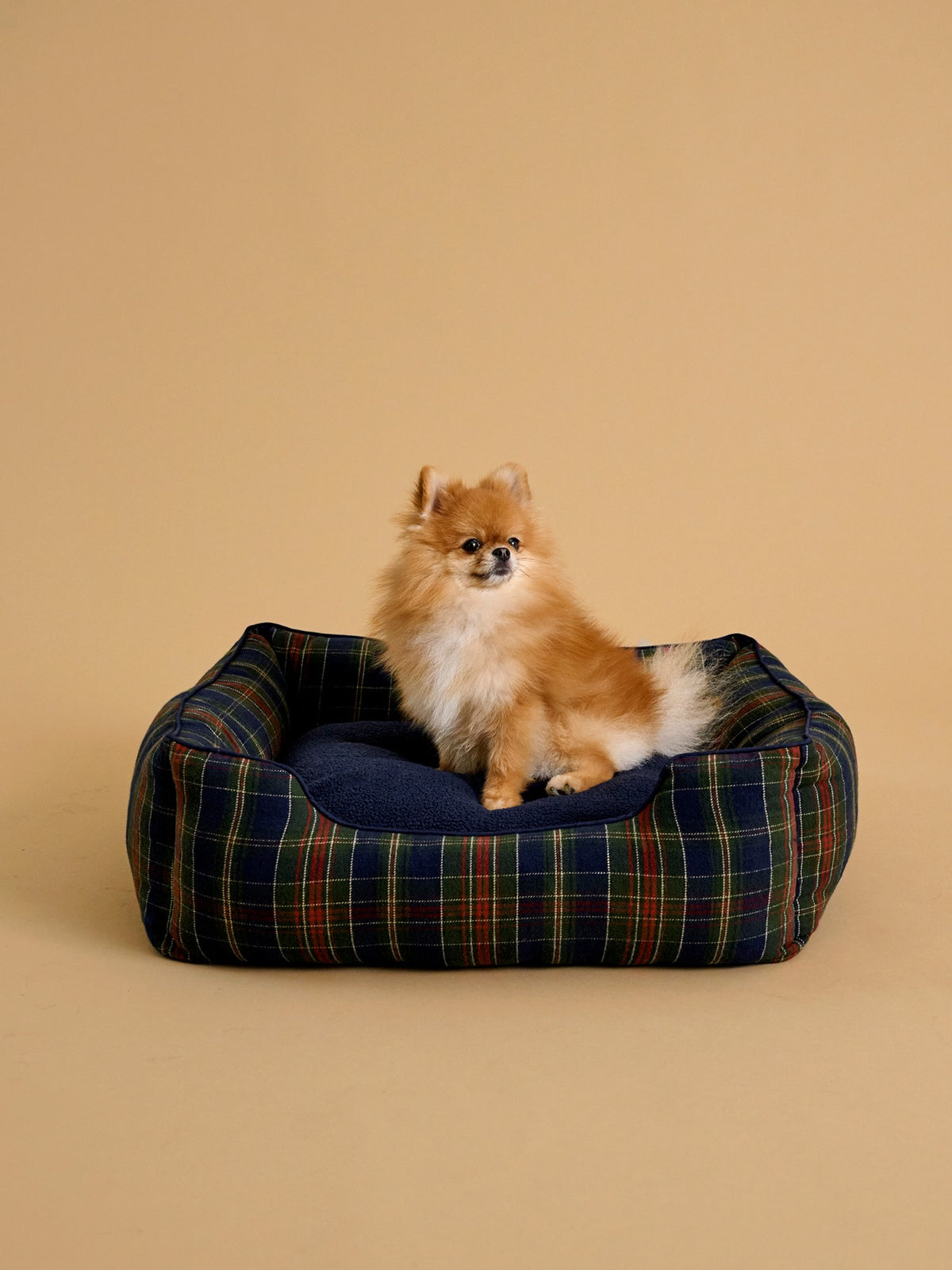 Mittelgroßer Hundekorb – Kollektion „Fine Truffe“
