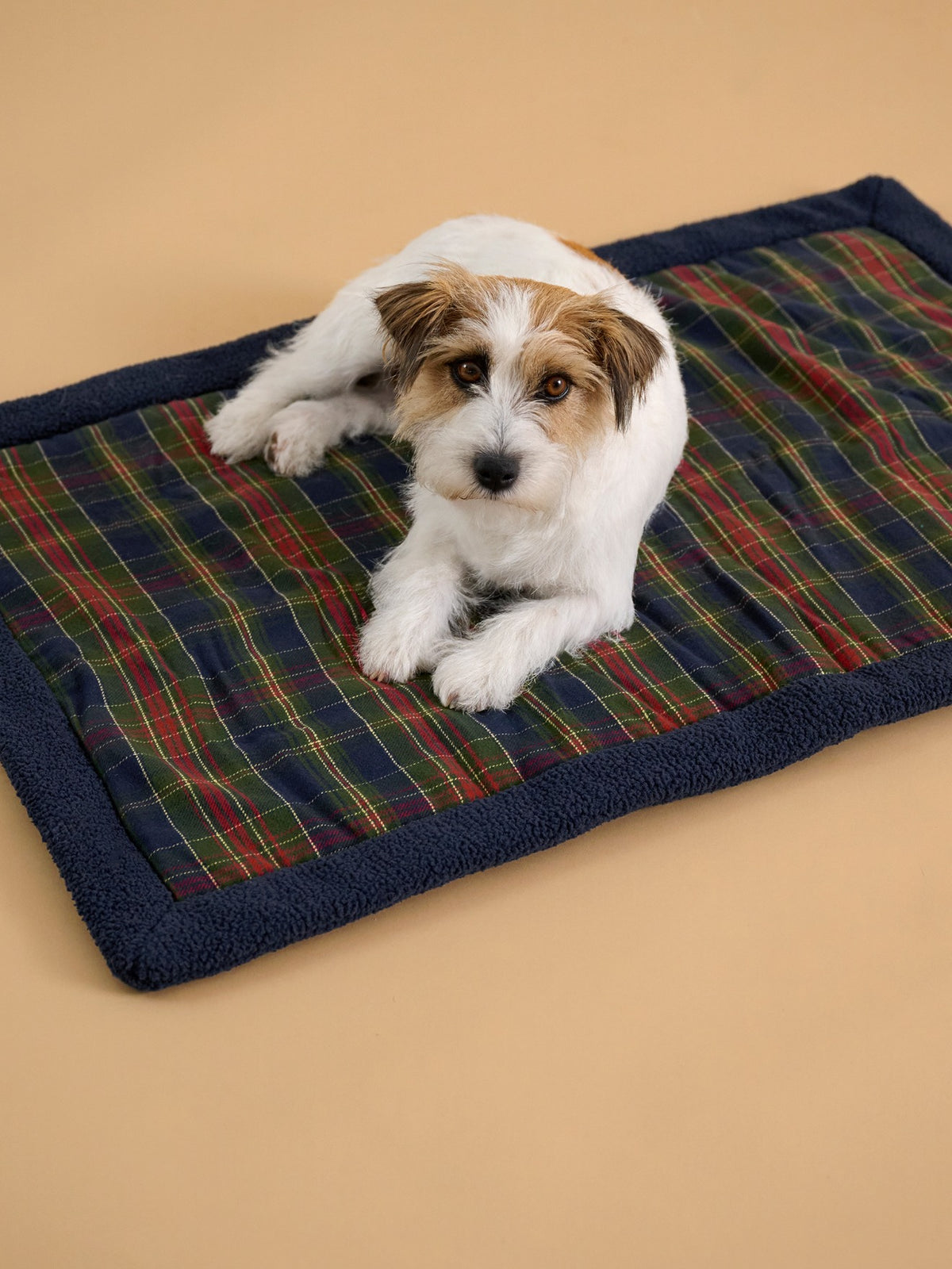 Hundedecke – Kollektion „Fine Truffe“