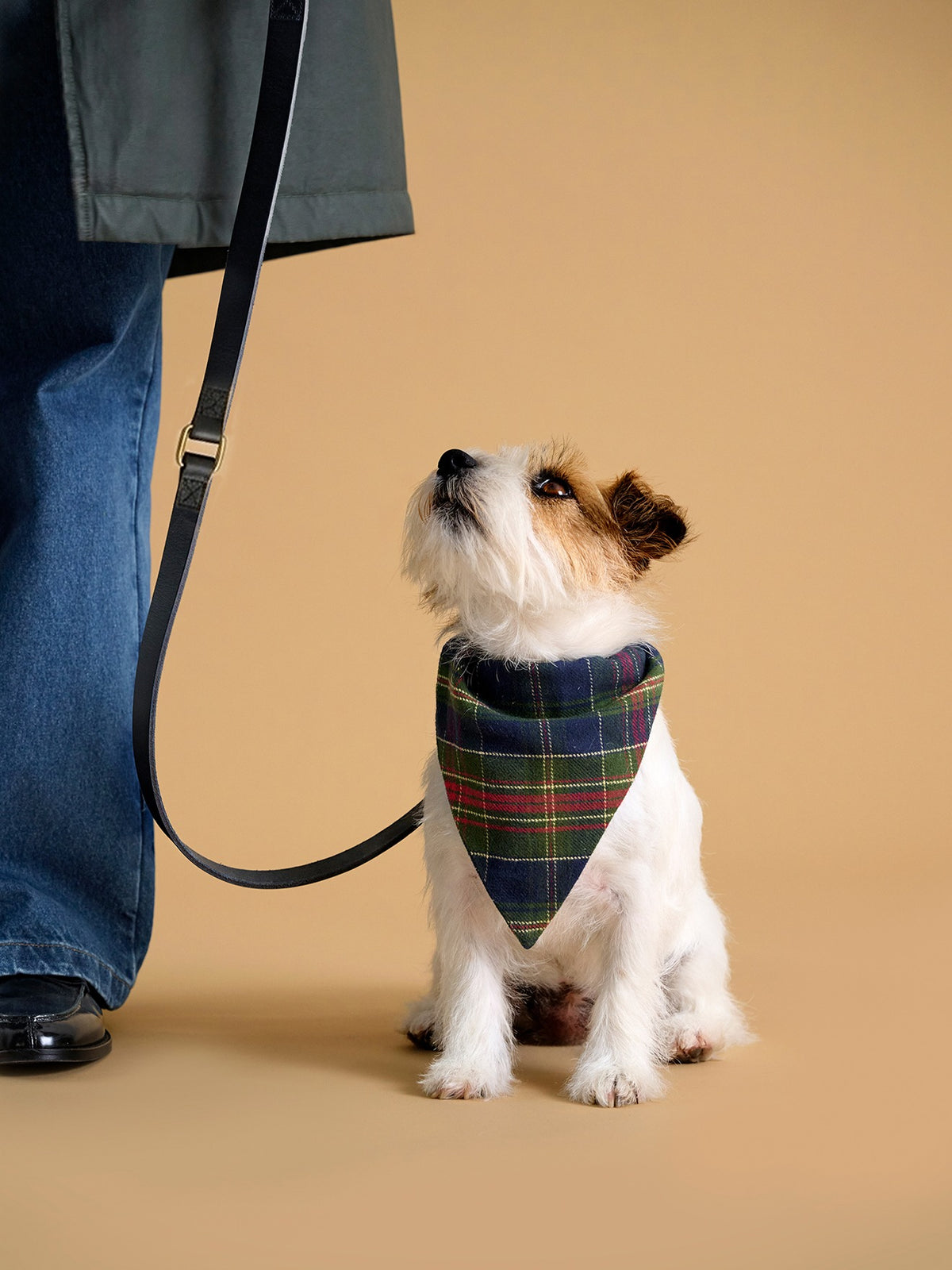 Hunde-Bandana – Kollektion „Fine Truffe“