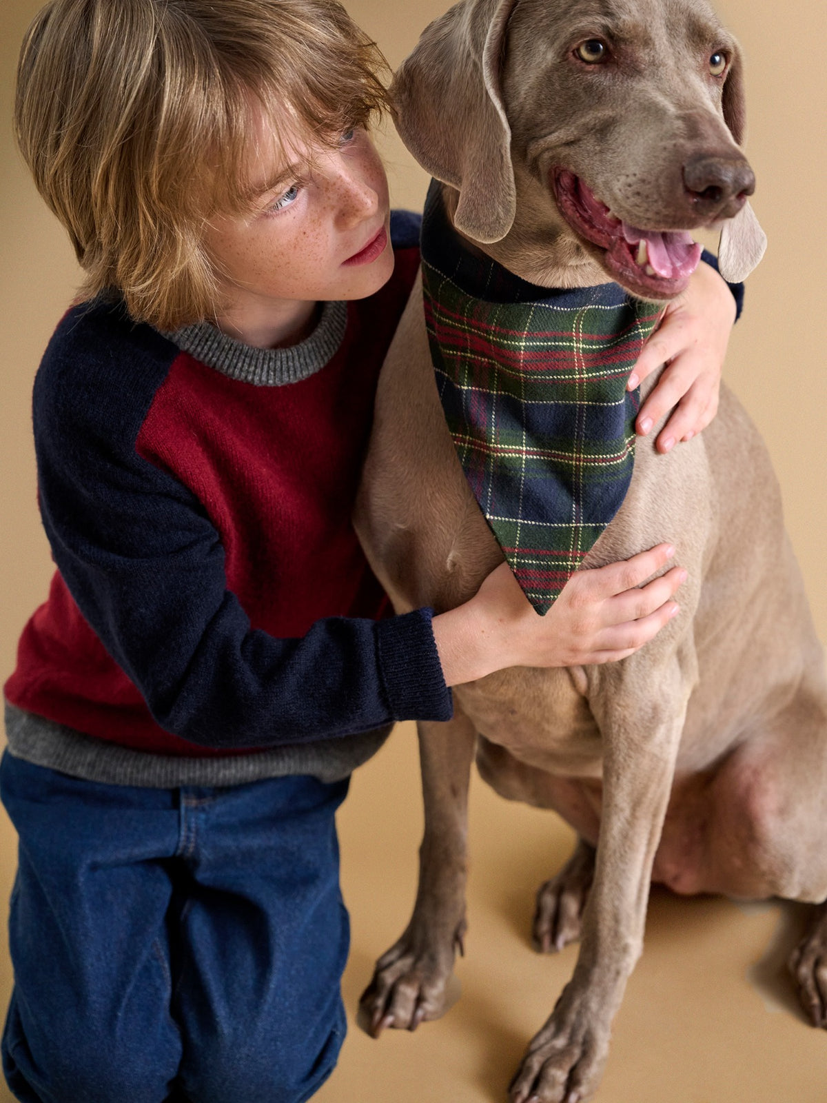 Hunde-Bandana – Kollektion „Fine Truffe“