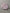 Babyhemd aus feinem Velours
