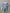 Baby-Schlafanzug aus Velours mit Plastron