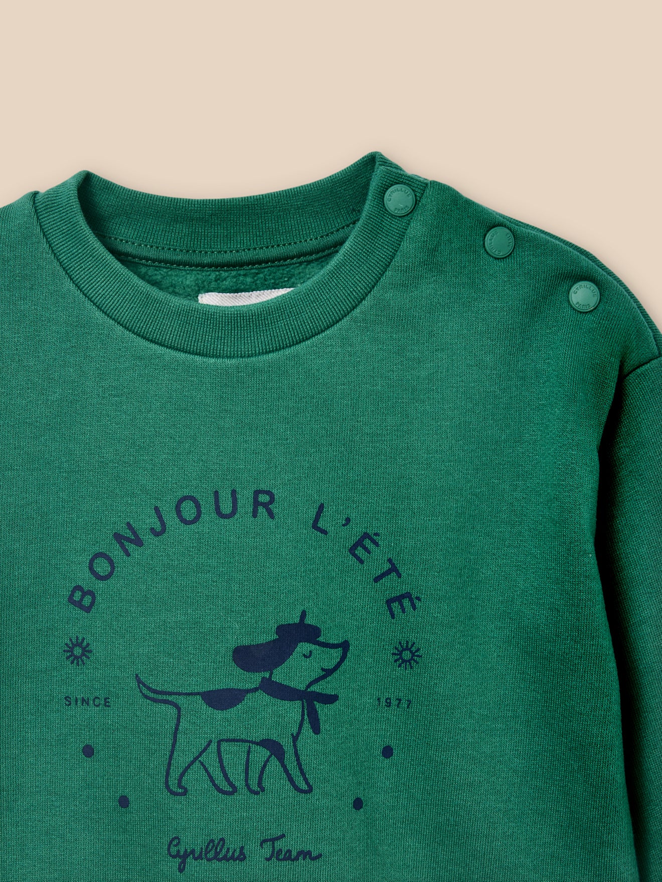 Sweatshirt, Baby - Baumwolle aus kontrolliert biologischem Anbau