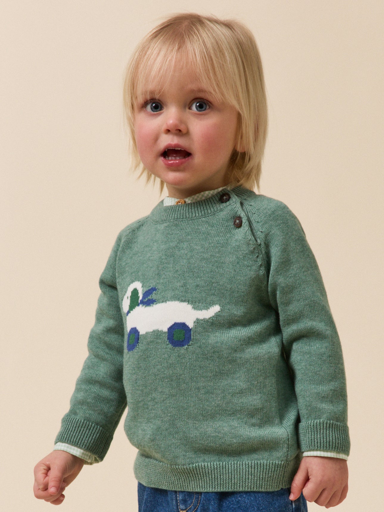 Babypullover - Biobaumwolle