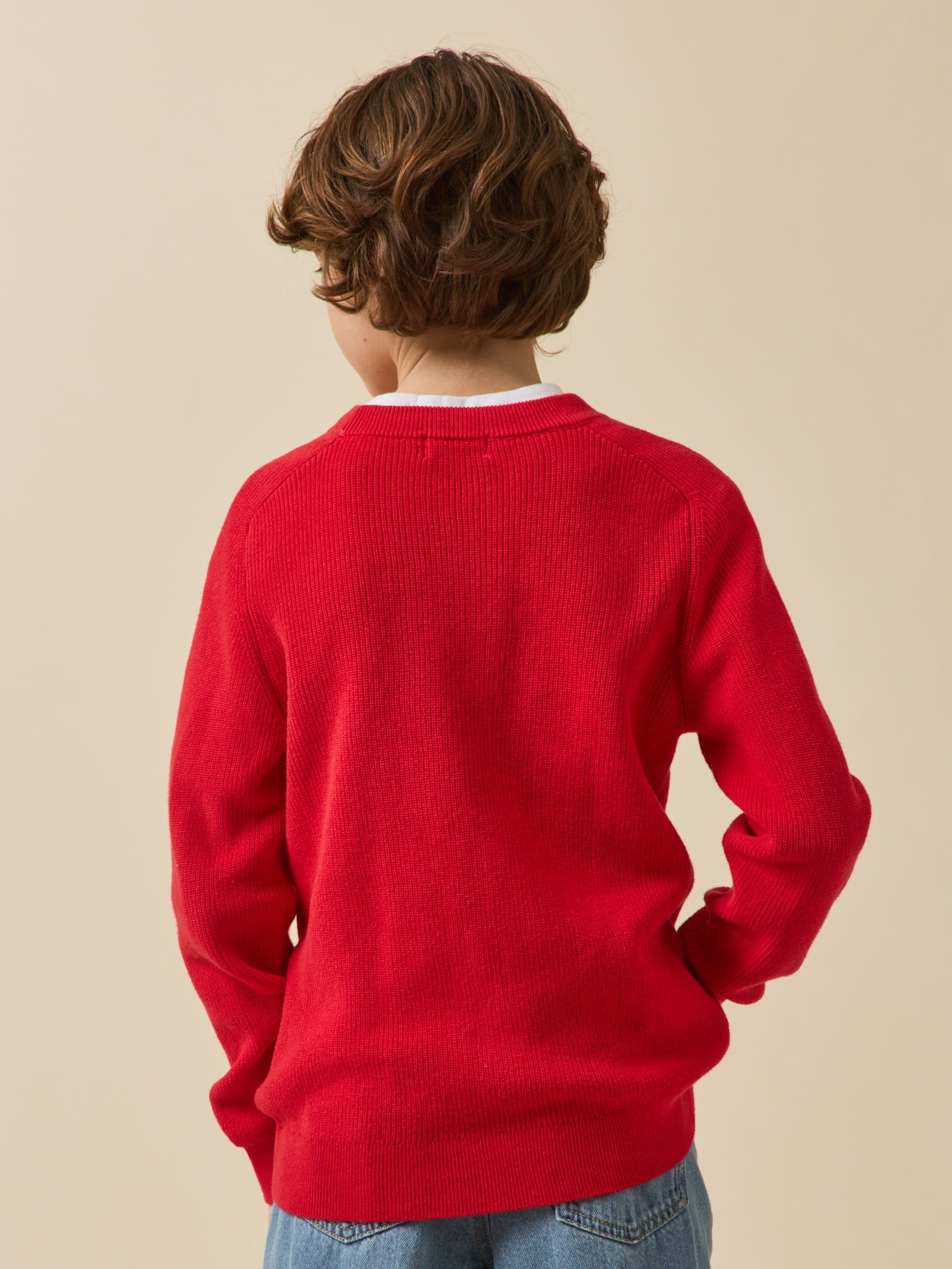 Jungenpullover