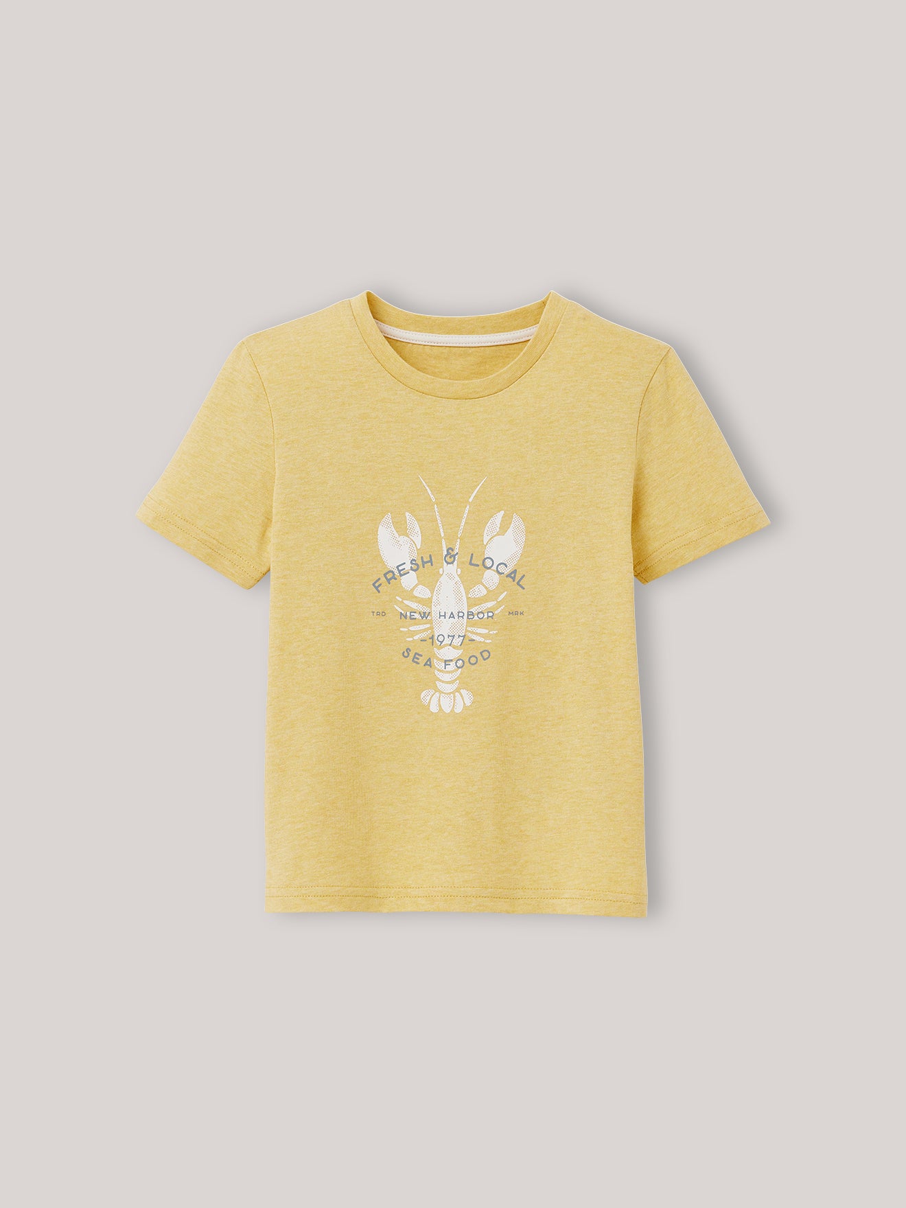 Jungen T-Shirt, meliert - Bio-Baumwolle