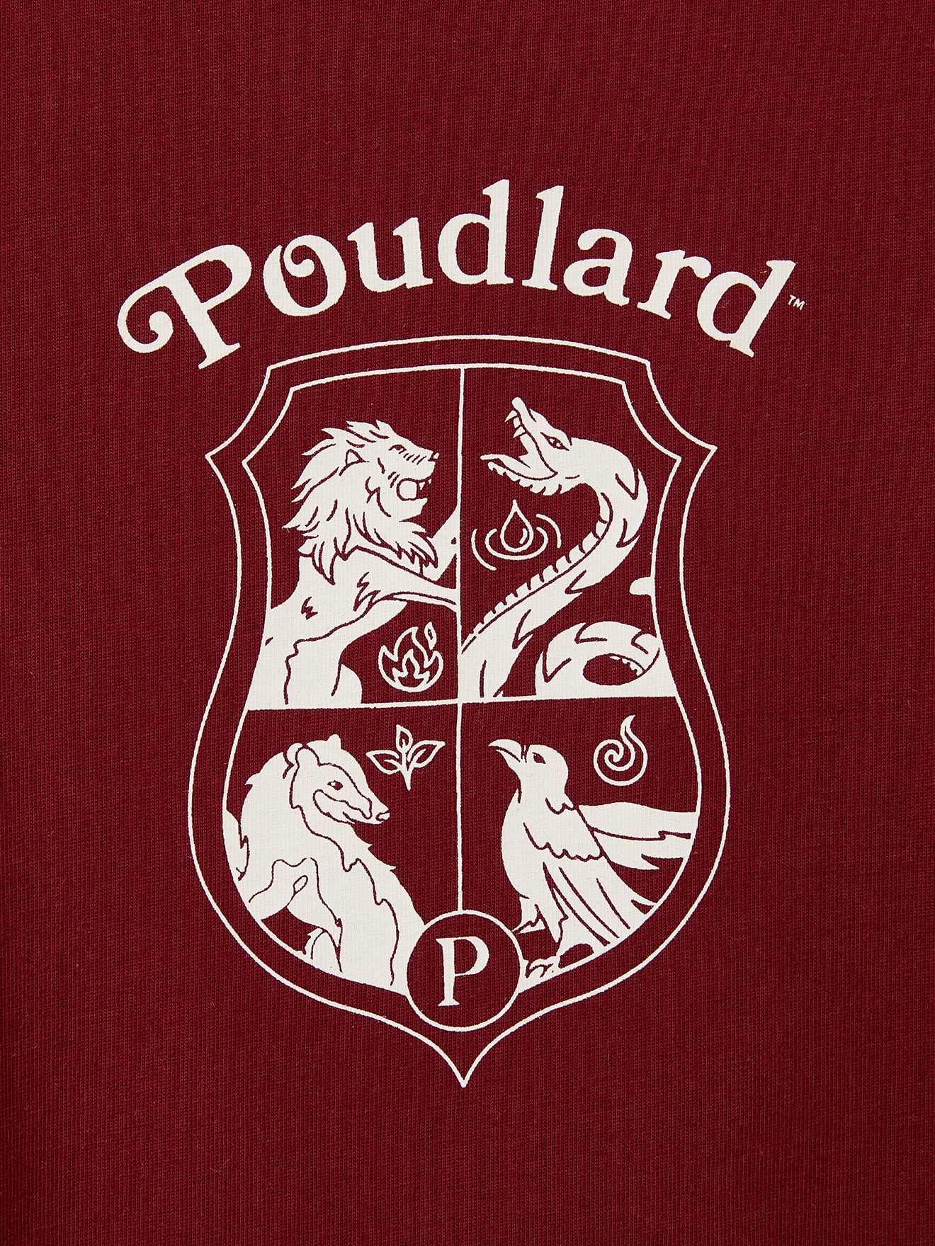 Kinder-Shirt – Harry Potter Kollektion