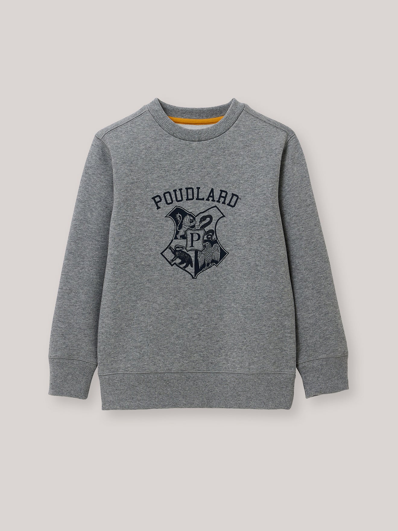 Sweatshirt aus der Harry Potter Kollektion