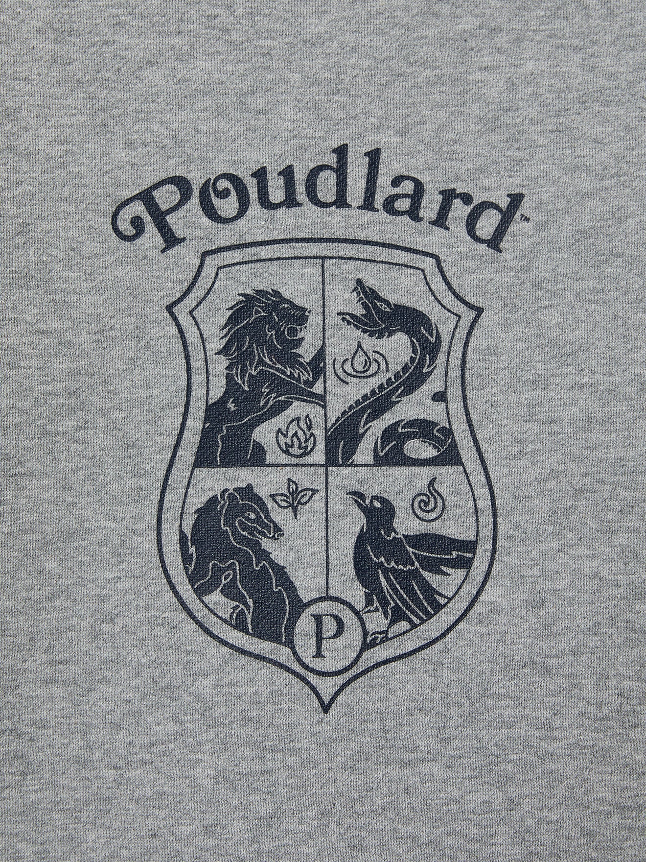 Kinder-Shirt – Harry Potter Kollektion
