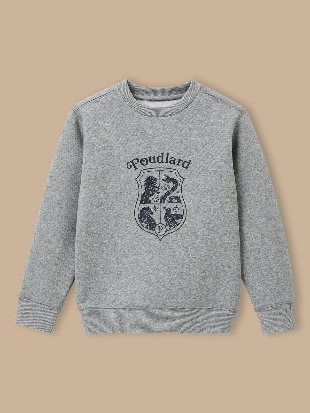 Kinder-Shirt – Harry Potter Kollektion
