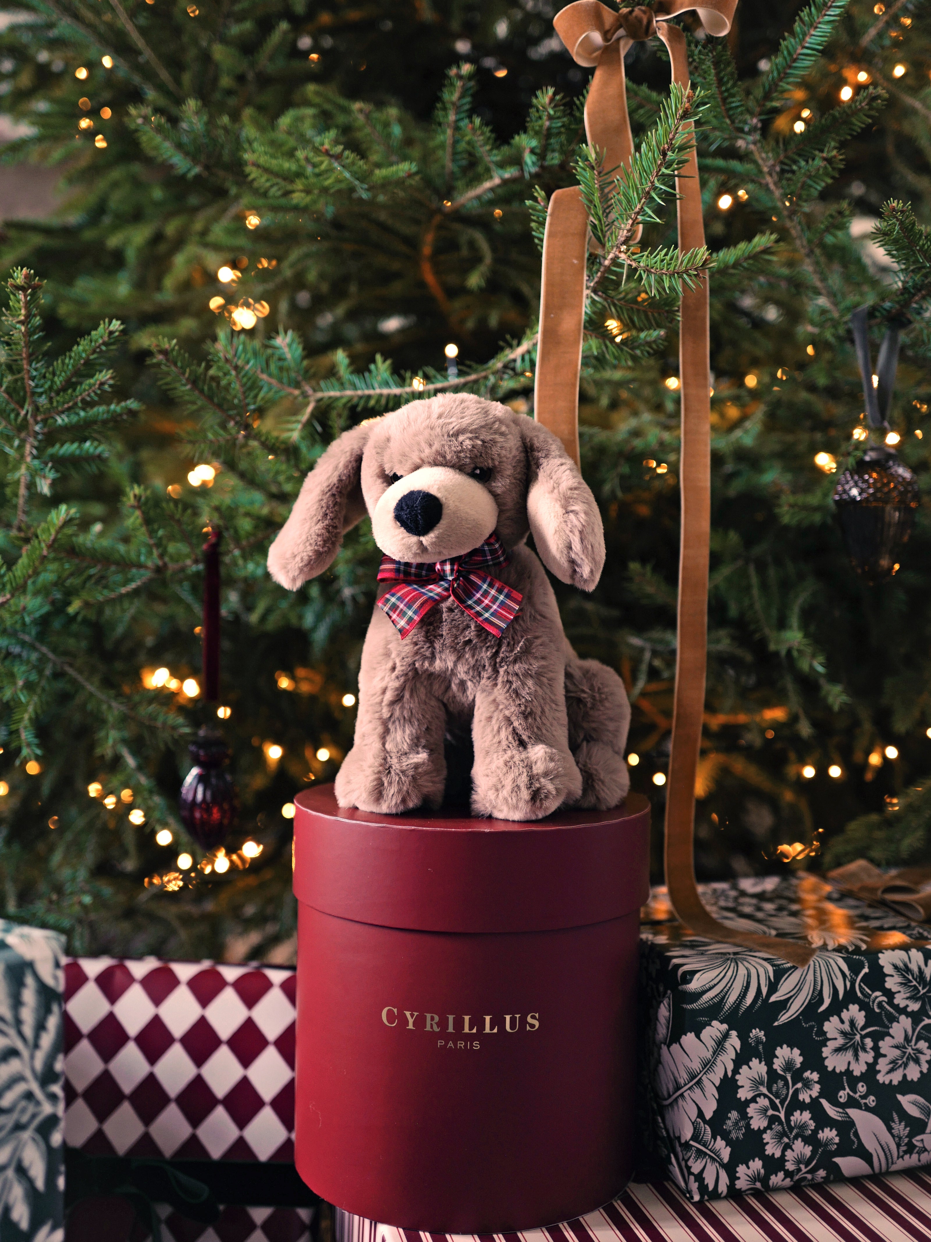 Plüschtier Hund – Solidaraktion