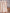 Baby-Plaid aus strukturierter Baumwolle und Mikrofleece